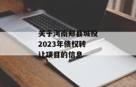 关于河南郏县城投2023年债权转让项目的信息