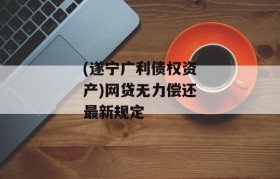 (遂宁广利债权资产)网贷无力偿还最新规定