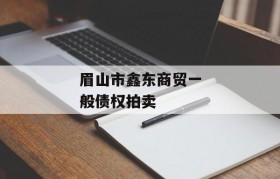 眉山市鑫东商贸一般债权拍卖