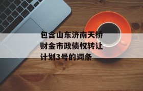 包含山东济南天桥财金市政债权转让计划3号的词条