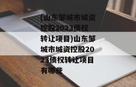 (山东邹城市城资控股2023债权转让项目)山东邹城市城资控股2023债权转让项目有哪些