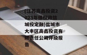 (江苏高鑫投资2023年债权政信城投定融)盐城市大丰区高鑫投资有限责任公司评级报告