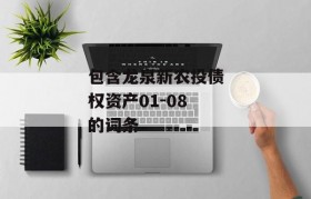 包含龙泉新农投债权资产01-08的词条