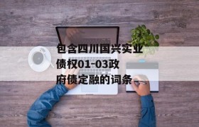 包含四川国兴实业债权01-03政府债定融的词条