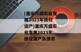 (重庆万盛实业发展2023年债权资产)重庆万盛实业发展2023年债权资产负债率