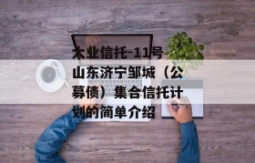 大业信托-11号山东济宁邹城（公募债）集合信托计划的简单介绍