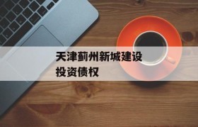 天津蓟州新城建设投资债权