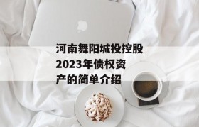 河南舞阳城投控股2023年债权资产的简单介绍