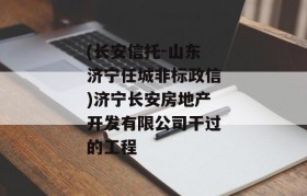 (长安信托-山东济宁任城非标政信)济宁长安房地产开发有限公司干过的工程