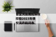 包含河南舞阳城投控股2023年债权资产的词条