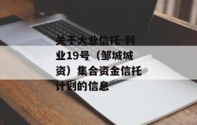 关于大业信托-利业19号（邹城城资）集合资金信托计划的信息