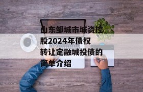 山东邹城市城资控股2024年债权转让定融城投债的简单介绍