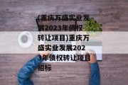 (重庆万盛实业发展2023年债权转让项目)重庆万盛实业发展2023年债权转让项目招标