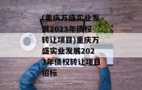 (重庆万盛实业发展2023年债权转让项目)重庆万盛实业发展2023年债权转让项目招标