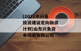 (2022年兴鱼投资建设定向融资计划)山东兴鱼资本投资有限公司