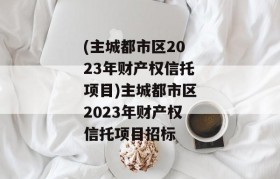 (主城都市区2023年财产权信托项目)主城都市区2023年财产权信托项目招标