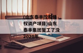 (山东泰丰控股债权资产项目)山东泰丰集团复工了没2020年