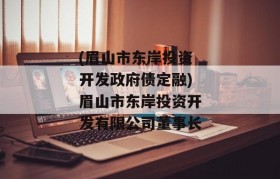 (眉山市东岸投资开发政府债定融)眉山市东岸投资开发有限公司董事长