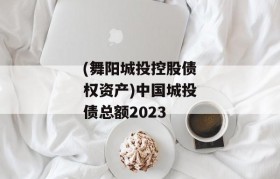 (舞阳城投控股债权资产)中国城投债总额2023