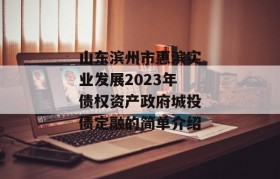 山东滨州市惠滨实业发展2023年债权资产政府城投债定融的简单介绍