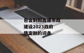 包含射阳鑫建市政建设2023政府债定融的词条