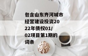 包含山东齐河城市经营建设投资2022年债权01/02项目第1期的词条