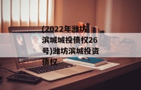 (2022年潍坊滨城城投债权26号)潍坊滨城投资债权