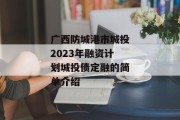 广西防城港市城投2023年融资计划城投债定融的简单介绍