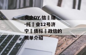 央企DY.信‮瑞-托‬业12号济宁‮债标‬政信的简单介绍