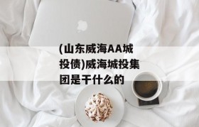 (山东威海AA城投债)威海城投集团是干什么的