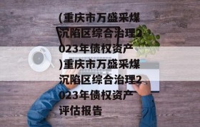 (重庆市万盛采煤沉陷区综合治理2023年债权资产)重庆市万盛采煤沉陷区综合治理2023年债权资产评估报告