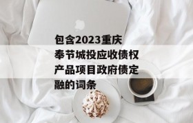 包含2023重庆奉节城投应收债权产品项目政府债定融的词条