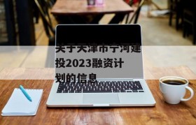 关于天津市宁河建投2023融资计划的信息