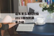 山东青岛海科控股2023债权的简单介绍