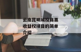 云南昆明城投商票收益权项目的简单介绍