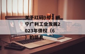 关于红码9号：遂宁广利工业发展2023年债权（6）的信息