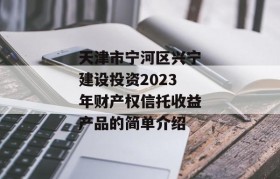 天津市宁河区兴宁建设投资2023年财产权信托收益产品的简单介绍