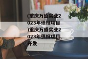 (重庆万盛实业2023年债权项目)重庆万盛实业2023年债权项目开发