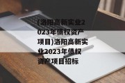 (洛阳高新实业2023年债权资产项目)洛阳高新实业2023年债权资产项目招标