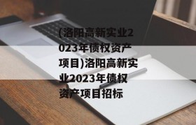 (洛阳高新实业2023年债权资产项目)洛阳高新实业2023年债权资产项目招标