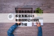 菏泽市定陶区圣陶农业发展2023年债权转让计划的简单介绍