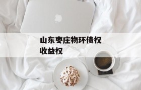 山东枣庄物环债权收益权