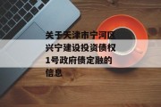 关于天津市宁河区兴宁建设投资债权1号政府债定融的信息