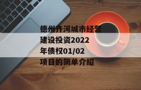 德州齐河城市经营建设投资2022年债权01/02项目的简单介绍