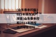 (山东泰丰控股2023年债权资产项目)山东泰丰控股2023年债权资产项目招标