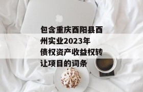 包含重庆酉阳县酉州实业2023年债权资产收益权转让项目的词条