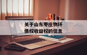 关于山东枣庄物环债权收益权的信息