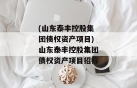 (山东泰丰控股集团债权资产项目)山东泰丰控股集团债权资产项目招标