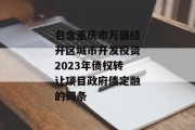 包含重庆市万盛经开区城市开发投资2023年债权转让项目政府债定融的词条