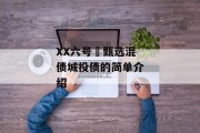 XX六号•甄选混债城投债的简单介绍